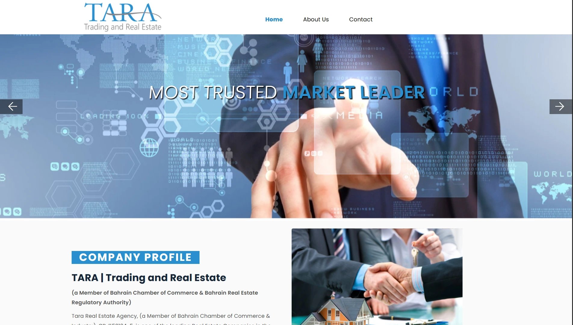 Tara Trading and Real Estate website